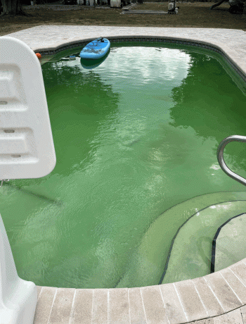 A Green Pool